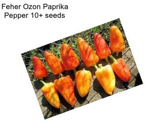 Feher Ozon Paprika Pepper 10+ seeds