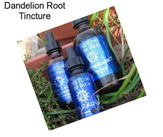 Dandelion Root Tincture