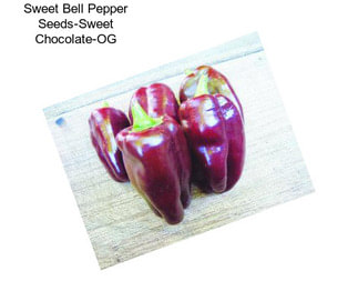 Sweet Bell Pepper Seeds-Sweet Chocolate-OG