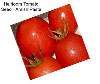 Heirloom Tomato Seed - Amish Paste