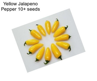 Yellow Jalapeno Pepper 10+ seeds