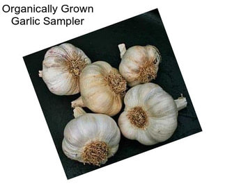 Organically Grown Garlic Sampler