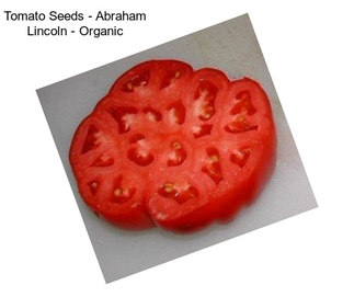 Tomato Seeds - Abraham Lincoln - Organic