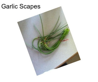 Garlic Scapes