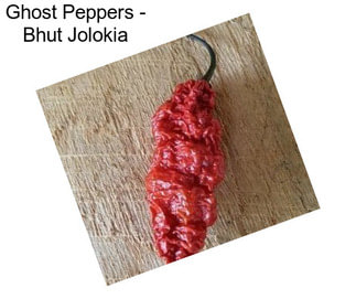 Ghost Peppers - Bhut Jolokia
