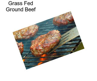 Grass Fed Ground Beef