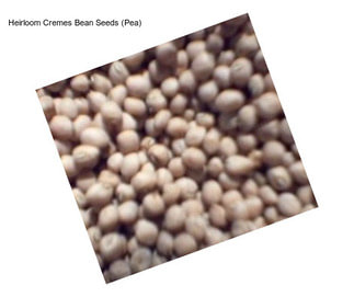 Heirloom Cremes Bean Seeds (Pea)