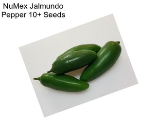 NuMex Jalmundo Pepper 10+ Seeds