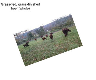 Grass-fed, grass-finished beef (whole)