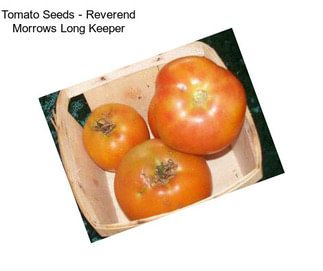 Tomato Seeds - Reverend Morrows Long Keeper