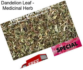 Dandelion Leaf - Medicinal Herb