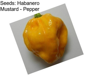 Seeds: Habanero Mustard - Pepper