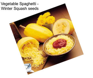 Vegetable Spaghetti - Winter Squash seeds