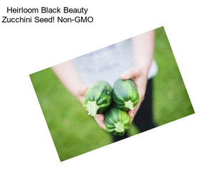 Heirloom Black Beauty Zucchini Seed! Non-GMO