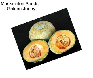 Muskmelon Seeds - Golden Jenny