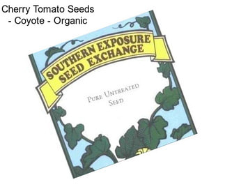 Cherry Tomato Seeds - Coyote - Organic