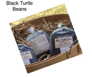 Black Turtle Beans