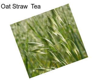 Oat Straw  Tea