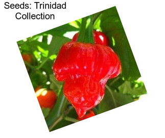 Seeds: Trinidad Collection