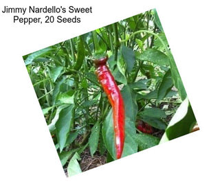 Jimmy Nardello\'s Sweet Pepper, 20 Seeds