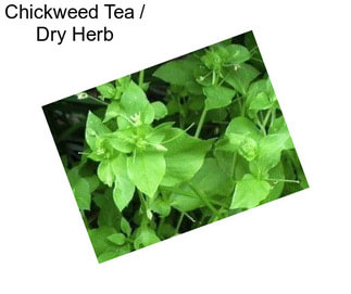 Chickweed Tea / Dry Herb