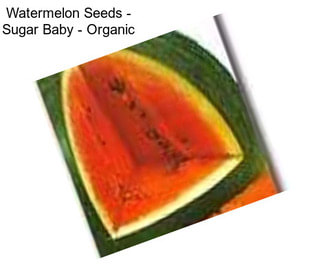 Watermelon Seeds - Sugar Baby - Organic
