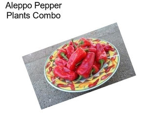 Aleppo Pepper Plants Combo