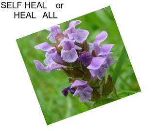 SELF HEAL    or    HEAL   ALL