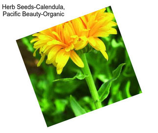 Herb Seeds-Calendula, Pacific Beauty-Organic