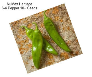 NuMex Heritage 6-4 Pepper 10+ Seeds