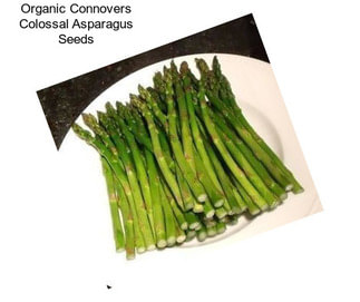 Organic Connovers Colossal Asparagus Seeds