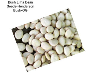 Bush Lima Bean Seeds-Henderson Bush-OG