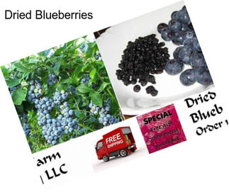 Dried Blueberries