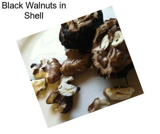 Black Walnuts in Shell