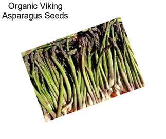 Organic Viking Asparagus Seeds