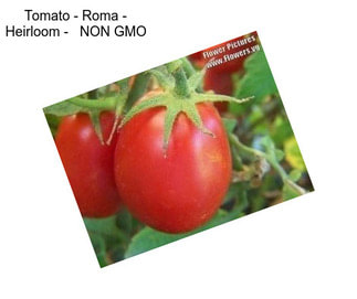 Tomato - Roma - Heirloom -   NON GMO