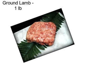 Ground Lamb - 1 lb