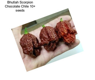 Bhutlah Scorpion Chocolate Chile 10+ seeds