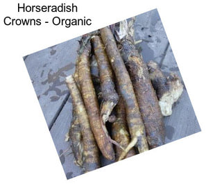 Horseradish Crowns - Organic