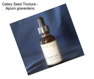 Celery Seed Tincture - Apium graveolens