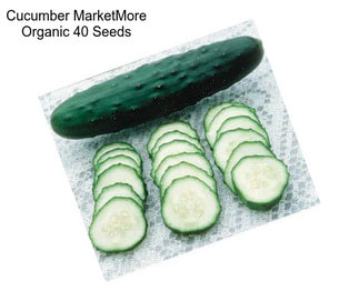 Cucumber MarketMore Organic 40 Seeds