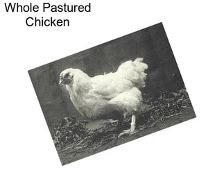 Whole Pastured Chicken