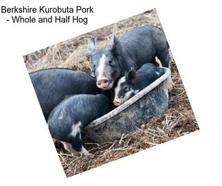 Berkshire Kurobuta Pork - Whole and Half Hog