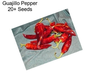 Guajillo Pepper 20+ Seeds