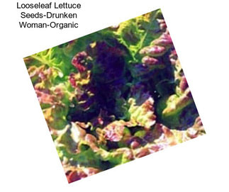 Looseleaf Lettuce Seeds-Drunken Woman-Organic