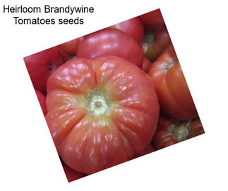 Heirloom Brandywine Tomatoes seeds