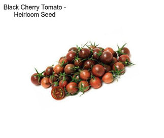 Black Cherry Tomato - Heirloom Seed