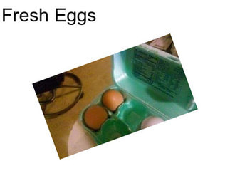 Fresh Eggs