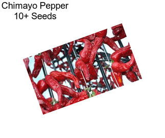 Chimayo Pepper 10+ Seeds