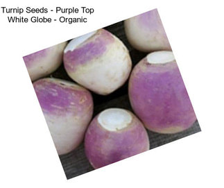 Turnip Seeds - Purple Top White Globe - Organic
